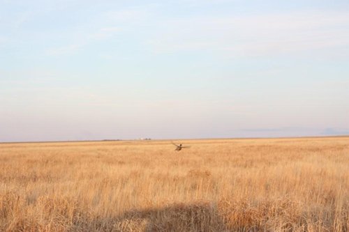 Property photo 37 - Kansas Land Auction - 960 Acres - 7 Farms in 3 Counties